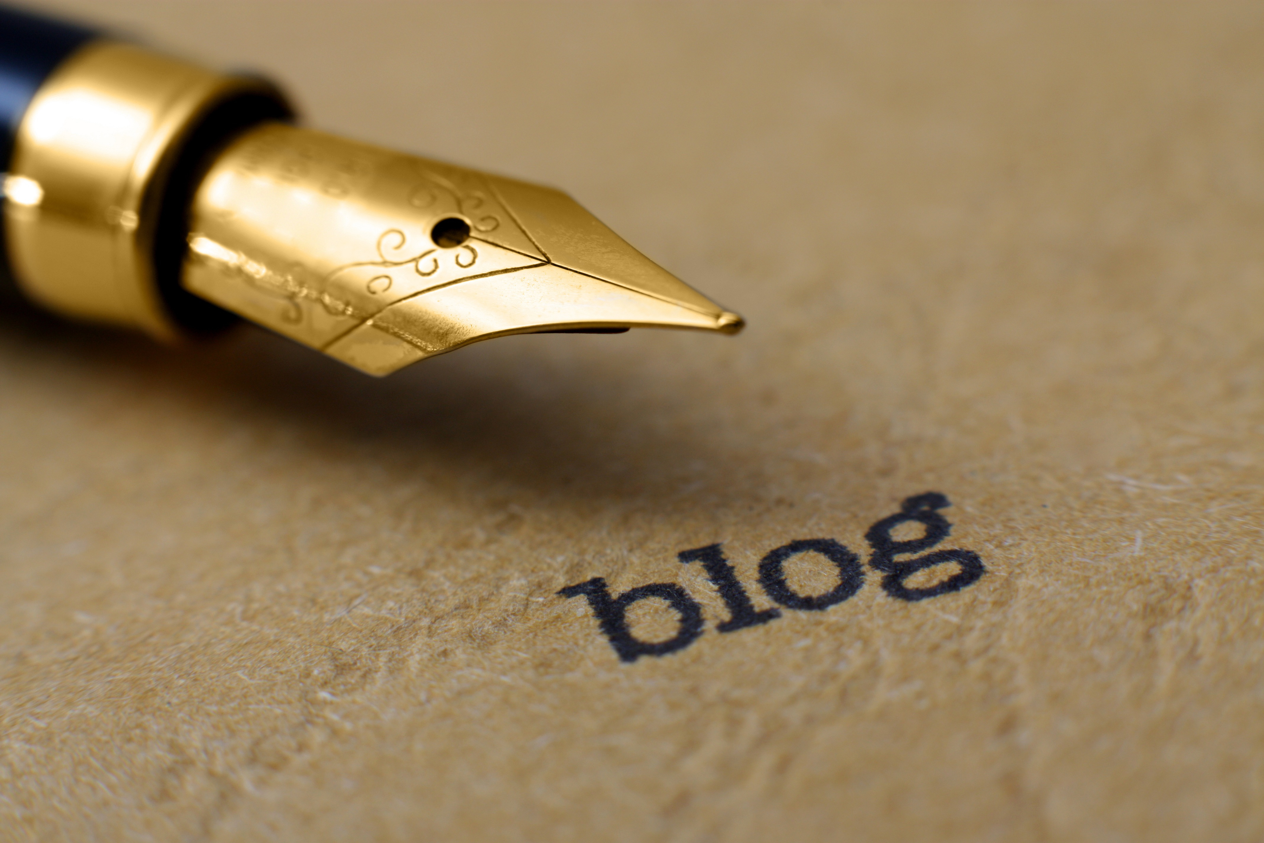 BEC Member's Blog